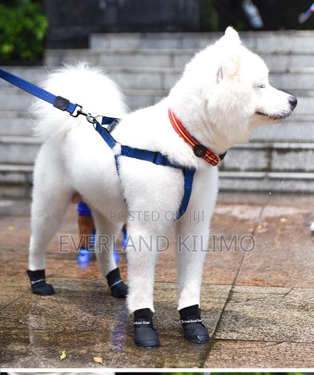Dog Boots - Small - main view