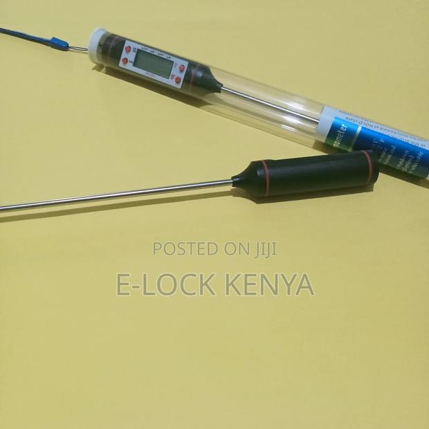 BBQ Temperature Testing Thermometer - main view