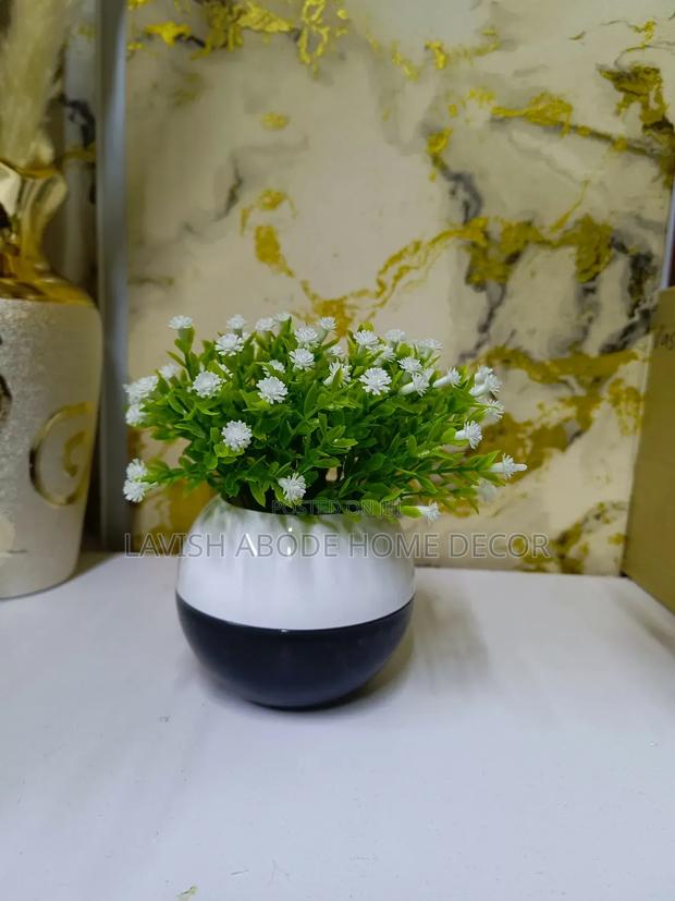 Bonsai Flowers in a Black and White Pot for Decor