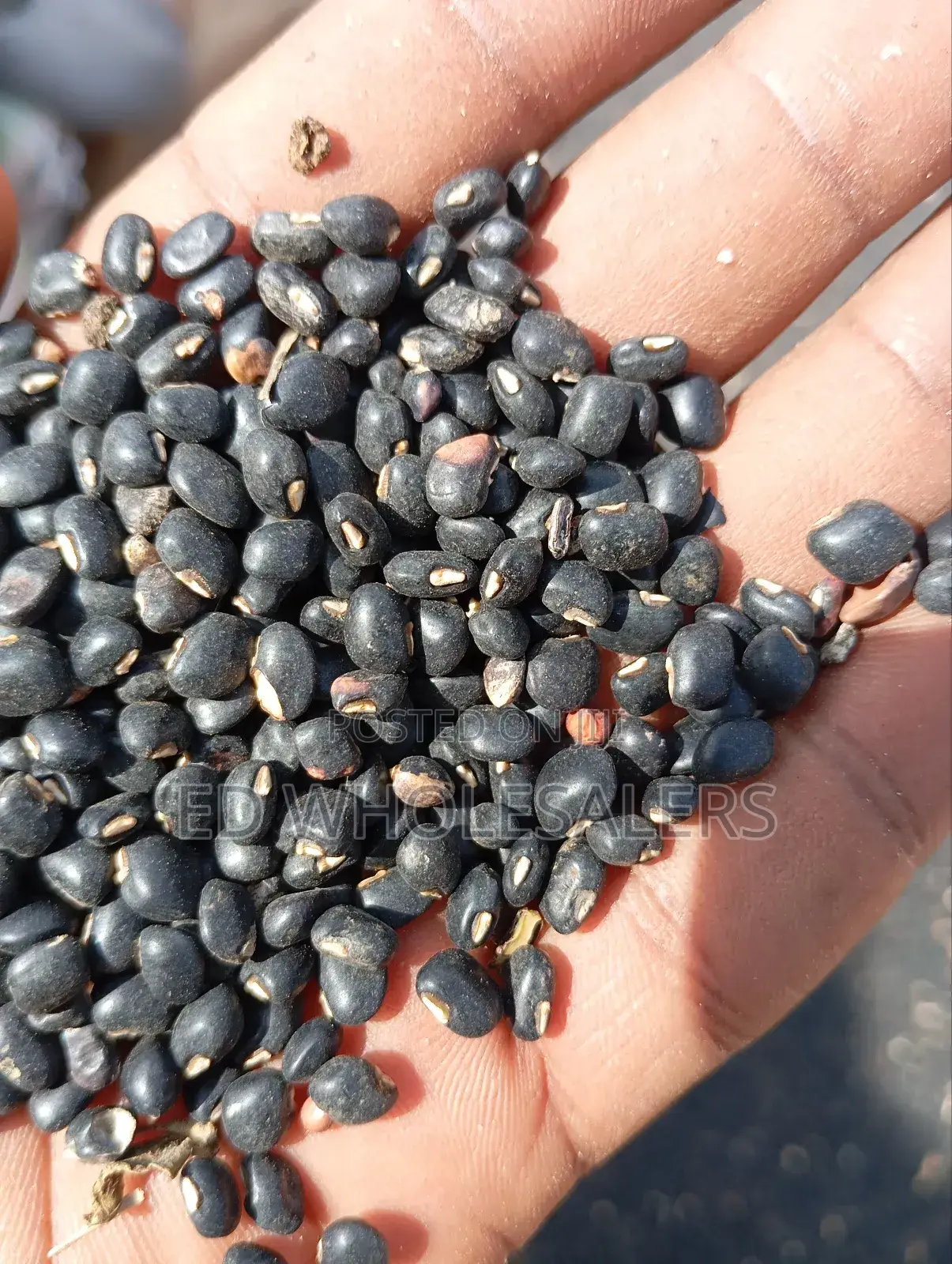 Kunde , Cowpeas