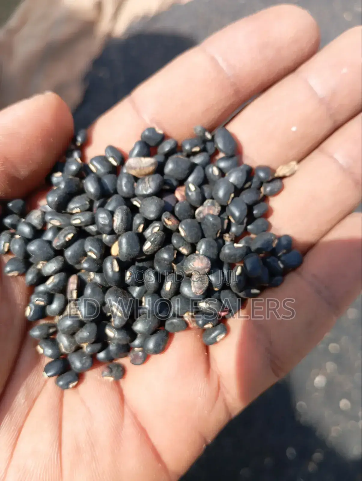 Kunde , Cowpeas