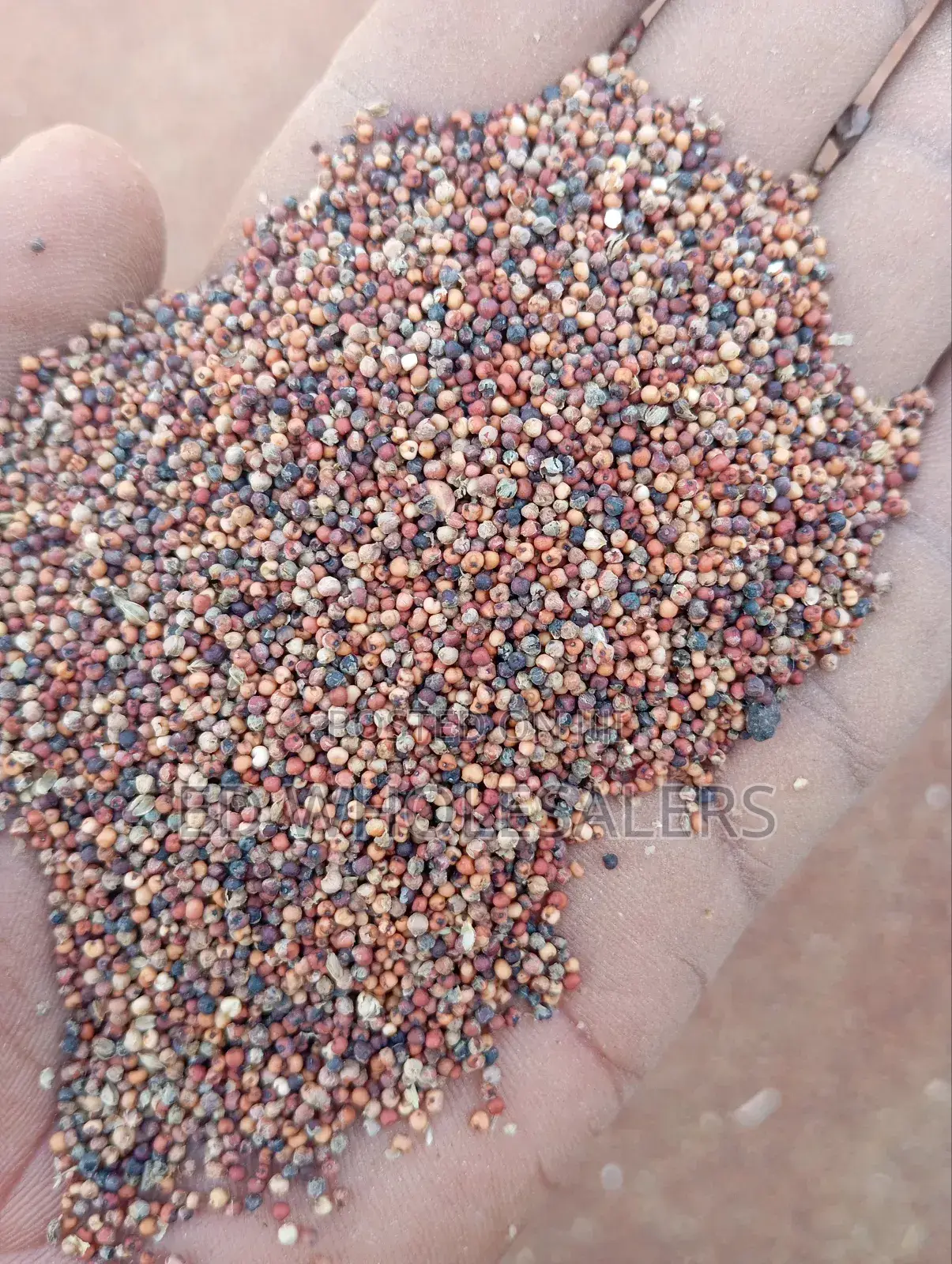 Finger Millet , Wimbi