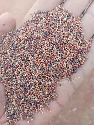 Finger Millet , Wimbi
