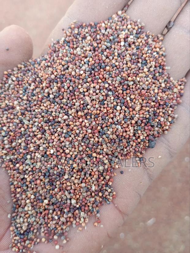 Finger Millet , Wimbi