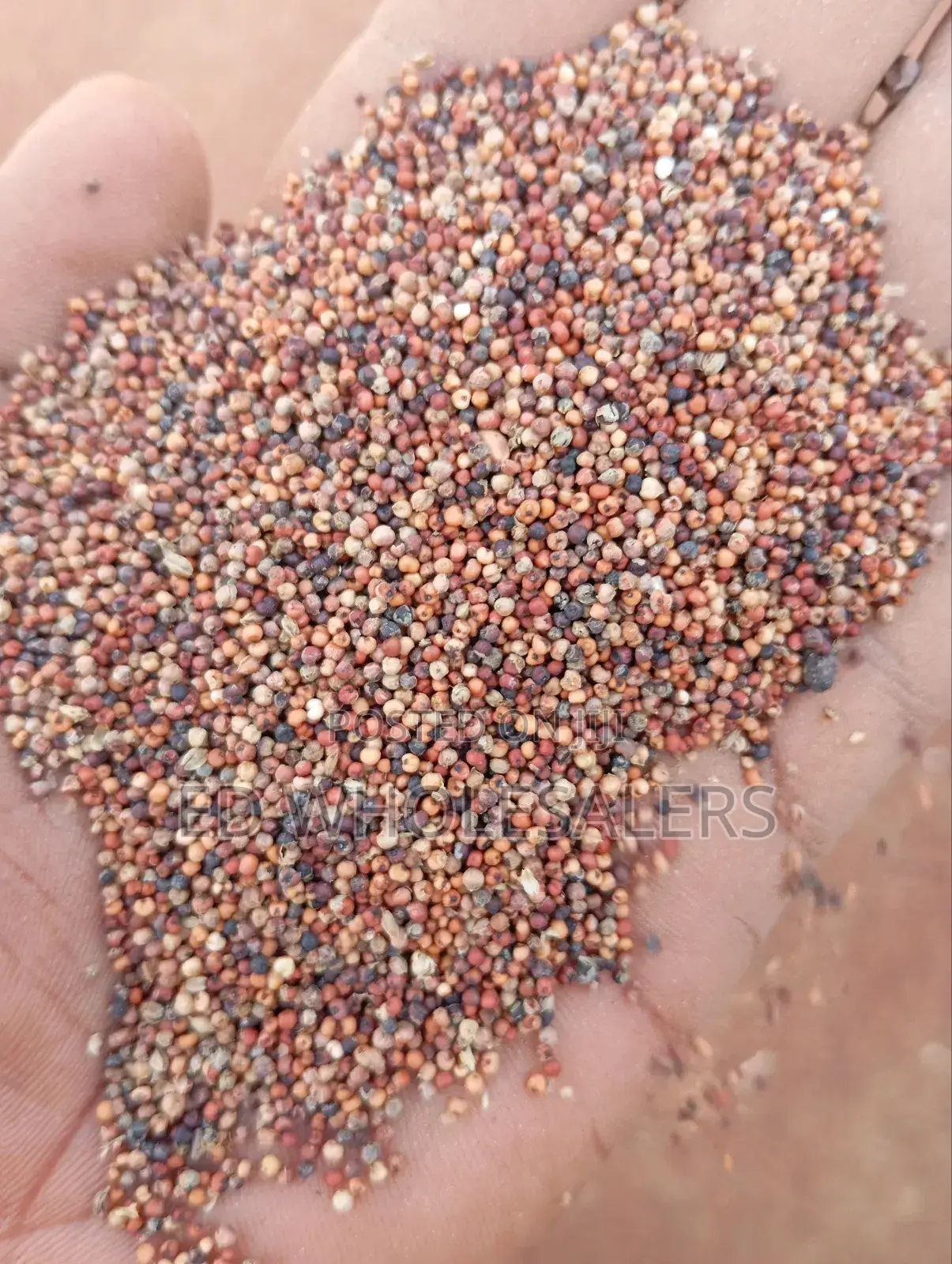 Finger Millet , Wimbi