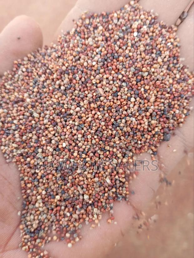 Finger Millet , Wimbi - thumbnail 2