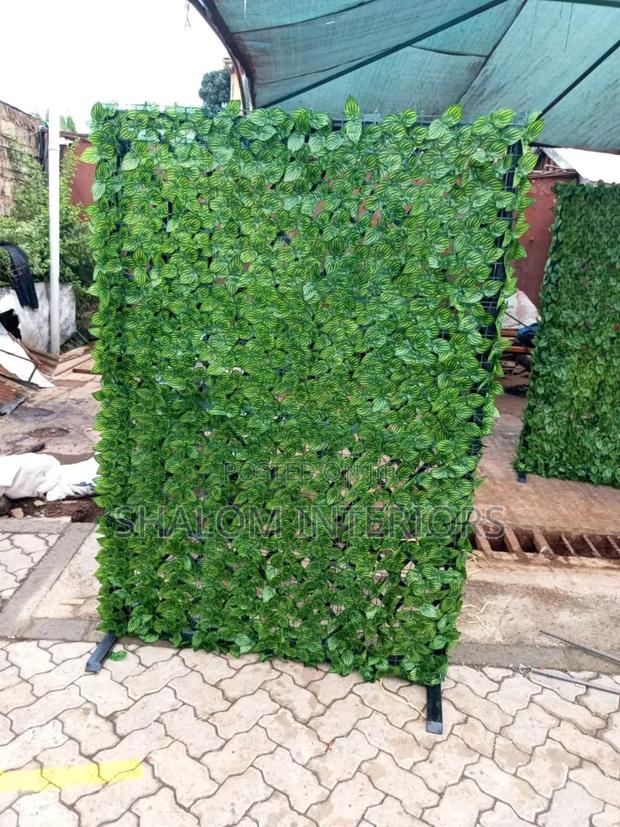 Privacy Fence - thumbnail 5