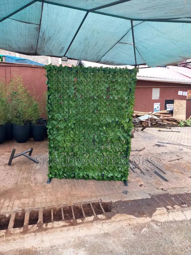 Privacy Fence - thumbnail 6