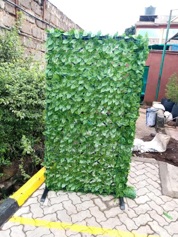 Privacy Fence - thumbnail 7