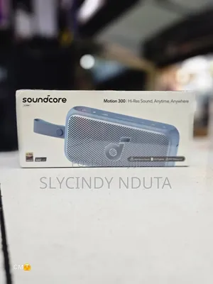Soundcore Motion 300