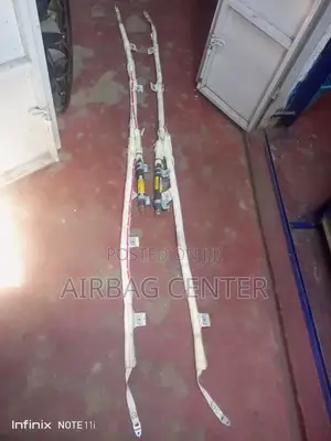 RAV4 Roof/Curtains Airbags