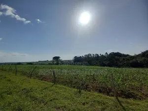 1,2,3,4 Acres of Land for Sale