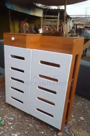 Modern Wooden Shoe Racks With Doors