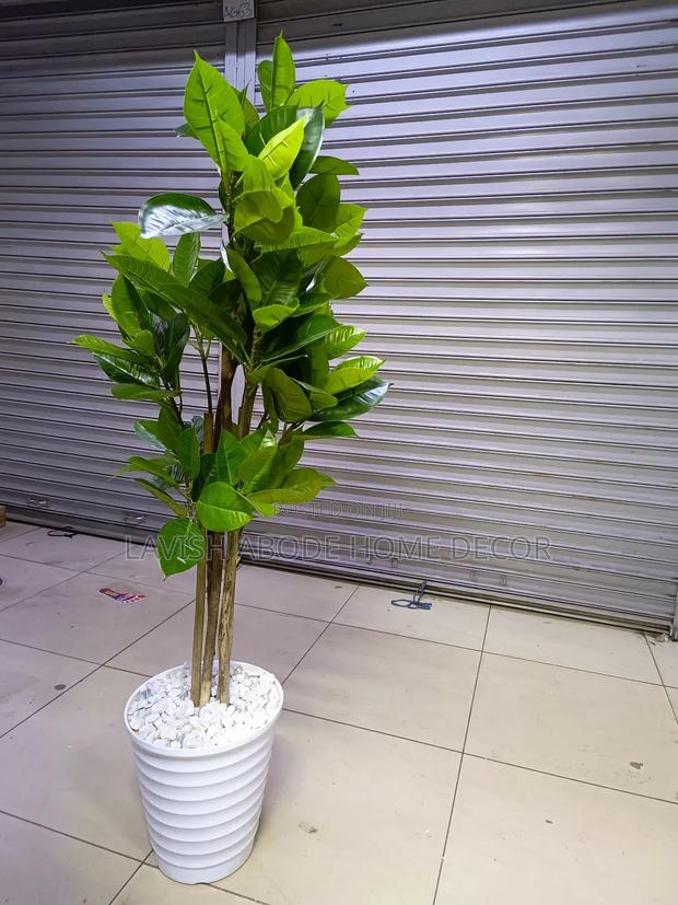 Artificial Rubber Plant Indoor and Outdoor Plastic Plant