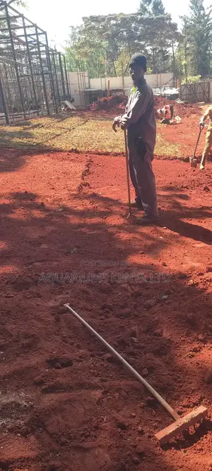 Lawn Planting, Grass Installation, Grass Sale