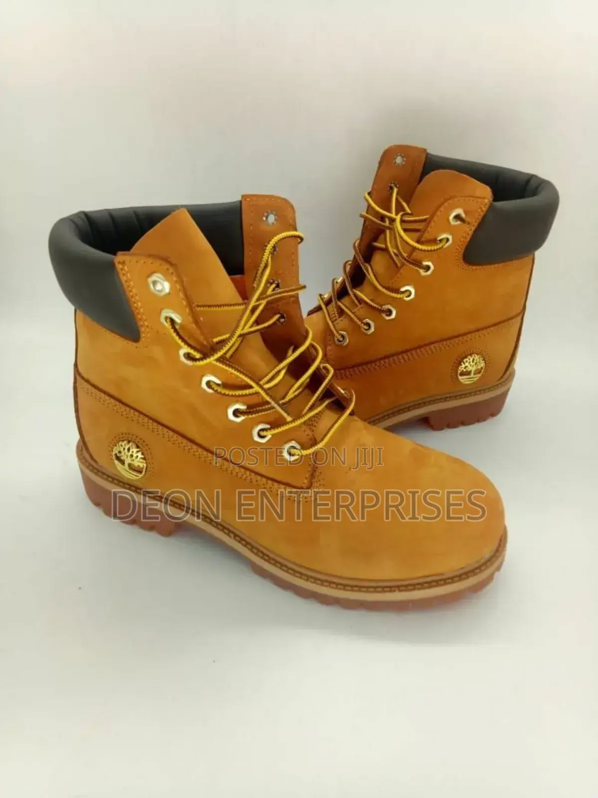 Timber Land Restocked