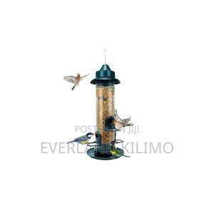 Bird Feeder - thumbnail 2