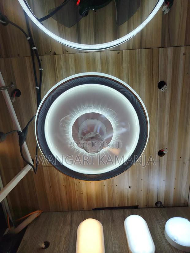 Fan Ceiling Lights - main view