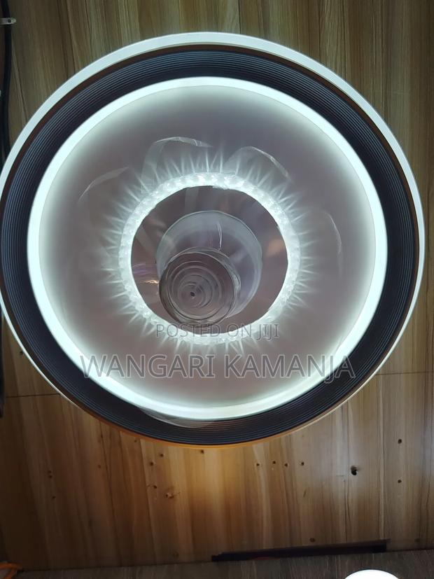 Fan Ceiling Lights - thumbnail 2