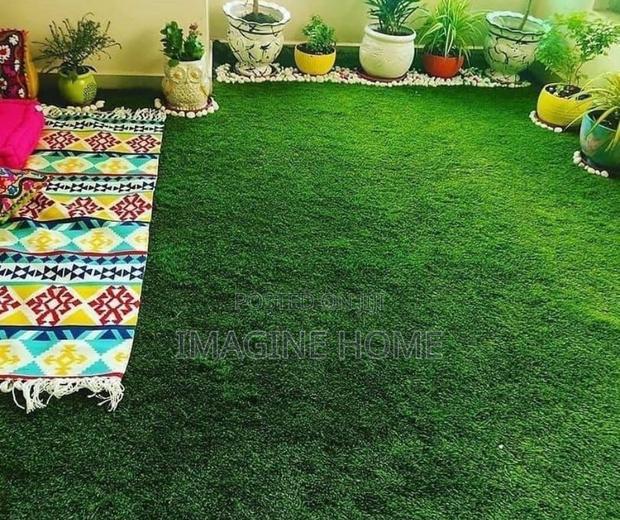 Beautiful Green Grass Backyard Decoration