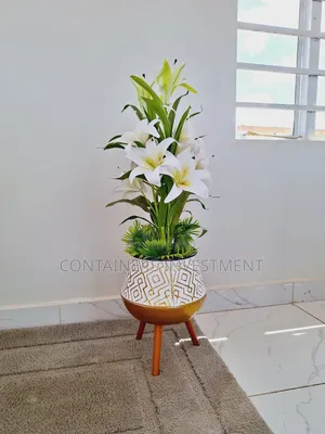 Quality Container Offices, Fast Delivery. Elegance.