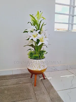 Buy Ready to Use Container Office- Epitom of Elegance