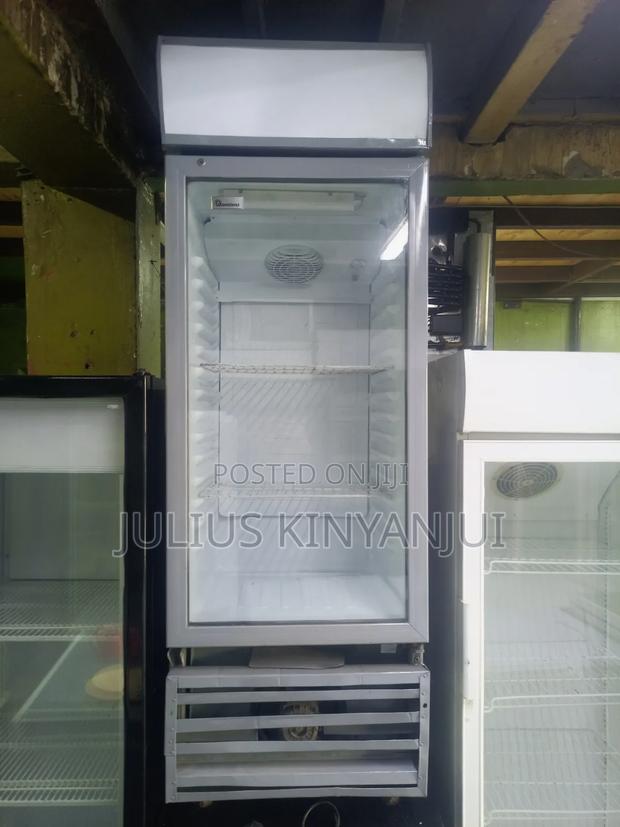 250L Bottle Cooler Fridge