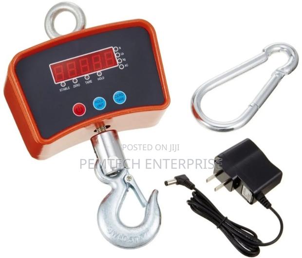 500kg Crane Scale - main view