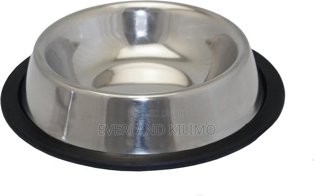 Non Slip Pet Bowl - main view
