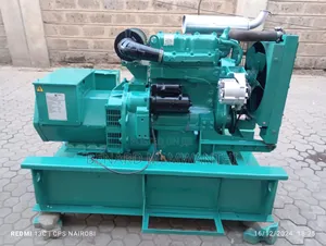 Generator 25kva Cummins