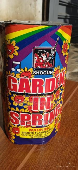 Garden In Spring Fireworks - thumbnail 2