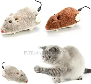 Squeaky Mouse Toys