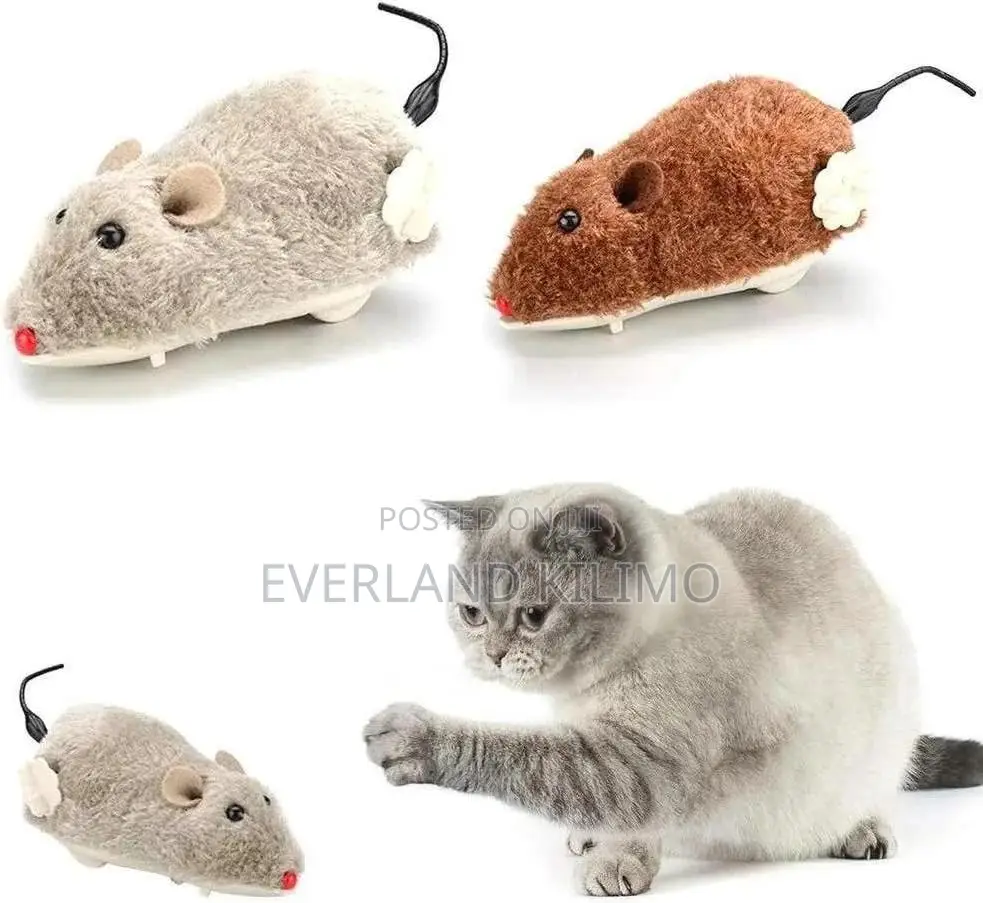Squeaky Mouse Toys