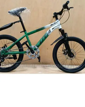 Mountain Bike 20 Luta With Gear