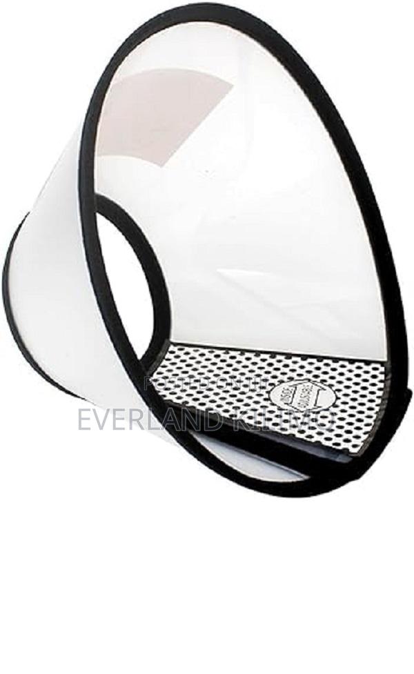 Collar Cone After Surgery - Small - main view