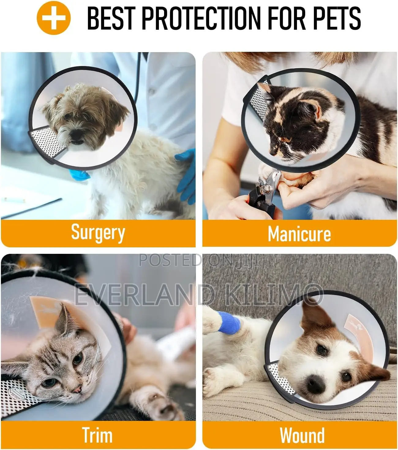 Adjustable Pet Recovery Collar - Medium