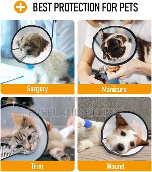 Adjustable Pet Recovery Collar - Medium - thumbnail 2