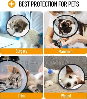 Adjustable Pet Recovery Collar - Medium