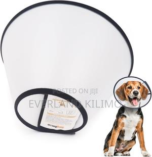 Elizabeth Collar-S - thumbnail 2