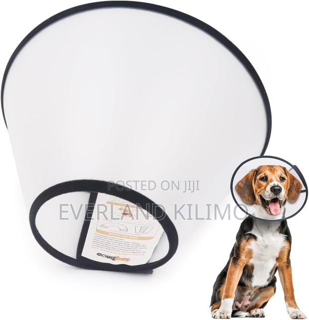 Elizabeth Collar-S - main view