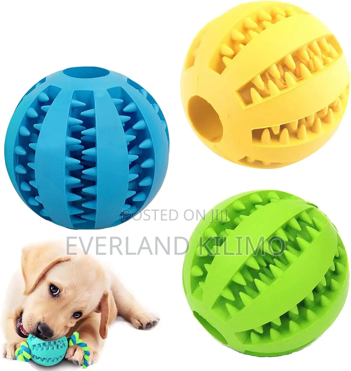 Treat Balls for Small Dogs -Small