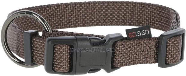 Flat Collar Leash - main view