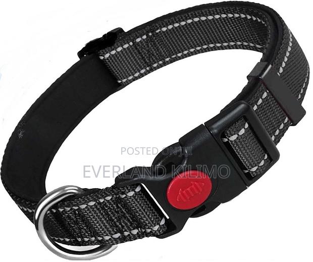 Flat Dog Collar - main view