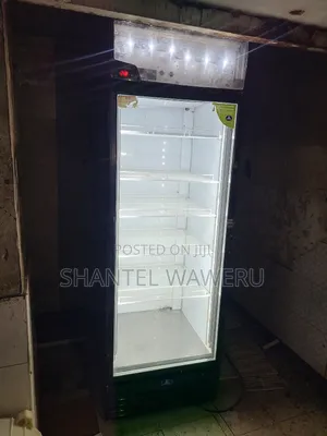 Exuk Showcase Fridge 600litres Display One.
