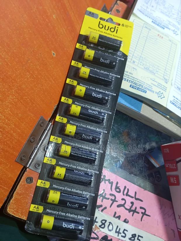 Double AA Alkaline Batteries