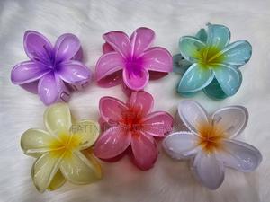 Colorful Cute Hair Claws