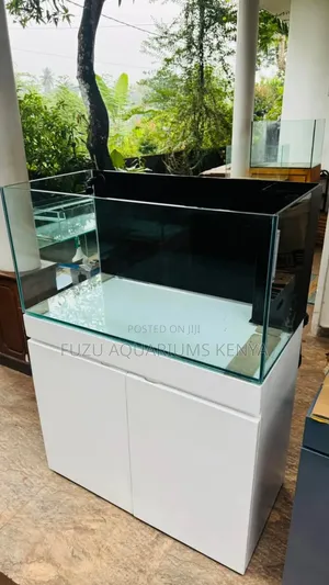 Aquarium With Filter, Lights, And All Accessories