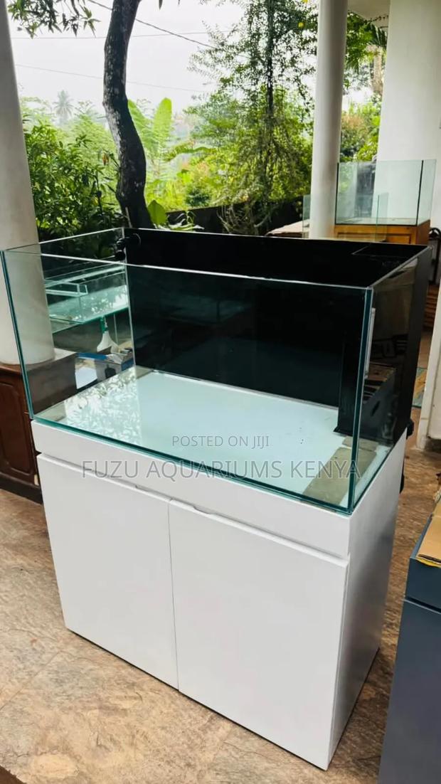 Aquarium With Filter, Lights, And All Accessories