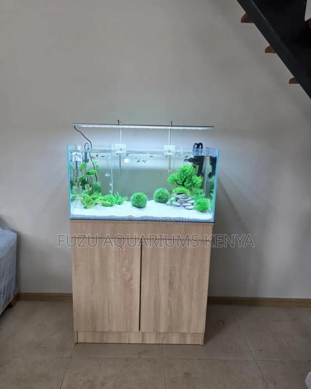 All In One Aquarium System - main view
