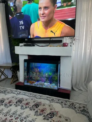 Customized Tv Stand Aquarium